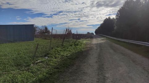 PARCELA CERCA DEL MAESTRE, EN LA VIA DE SERVICIO, imatge 5