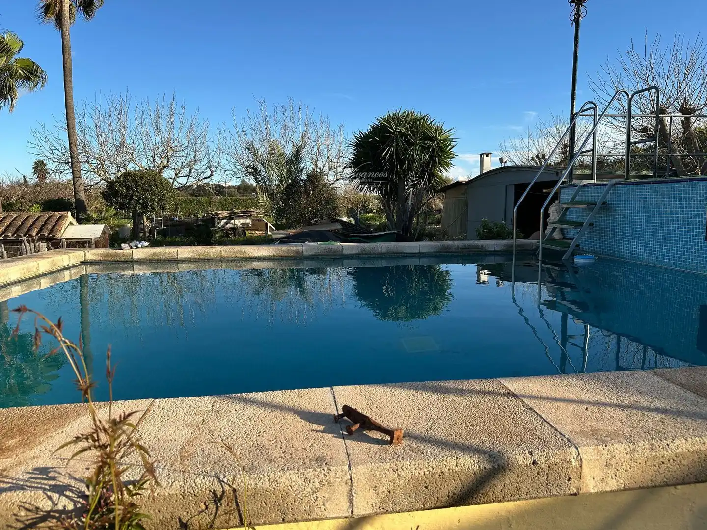 Villa con piscina in vendita a ma 3020, imagen 6