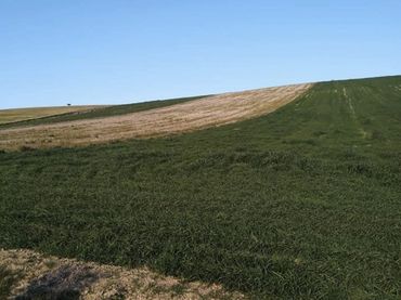 Terreno rustico in vendita a La Malahá