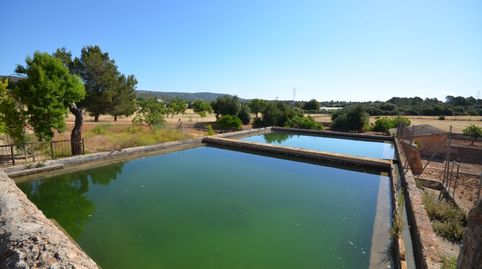 Foto 5 de Finca rústica en venda a Sa Casa Blanca, Palma de Mallorca