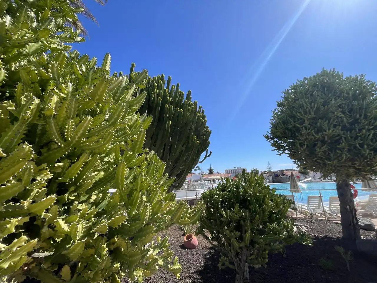 Vista exterior de Casa o xalet de lloguer en San Bartolomé de Tirajana amb Aire condicionat, Calefacció i Jardí privat