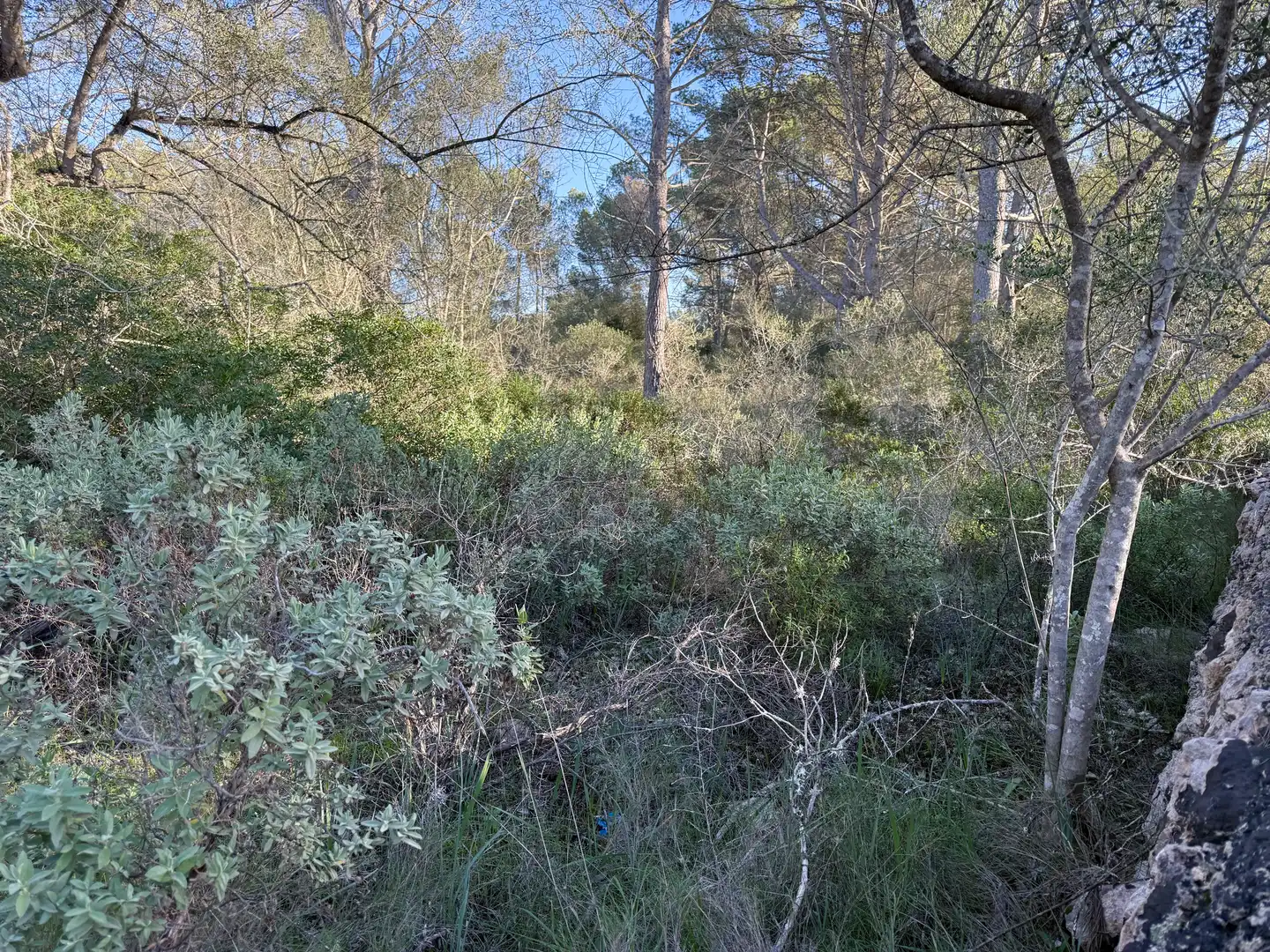 Terreni e lotti in vendita a Algaida, imagen 7