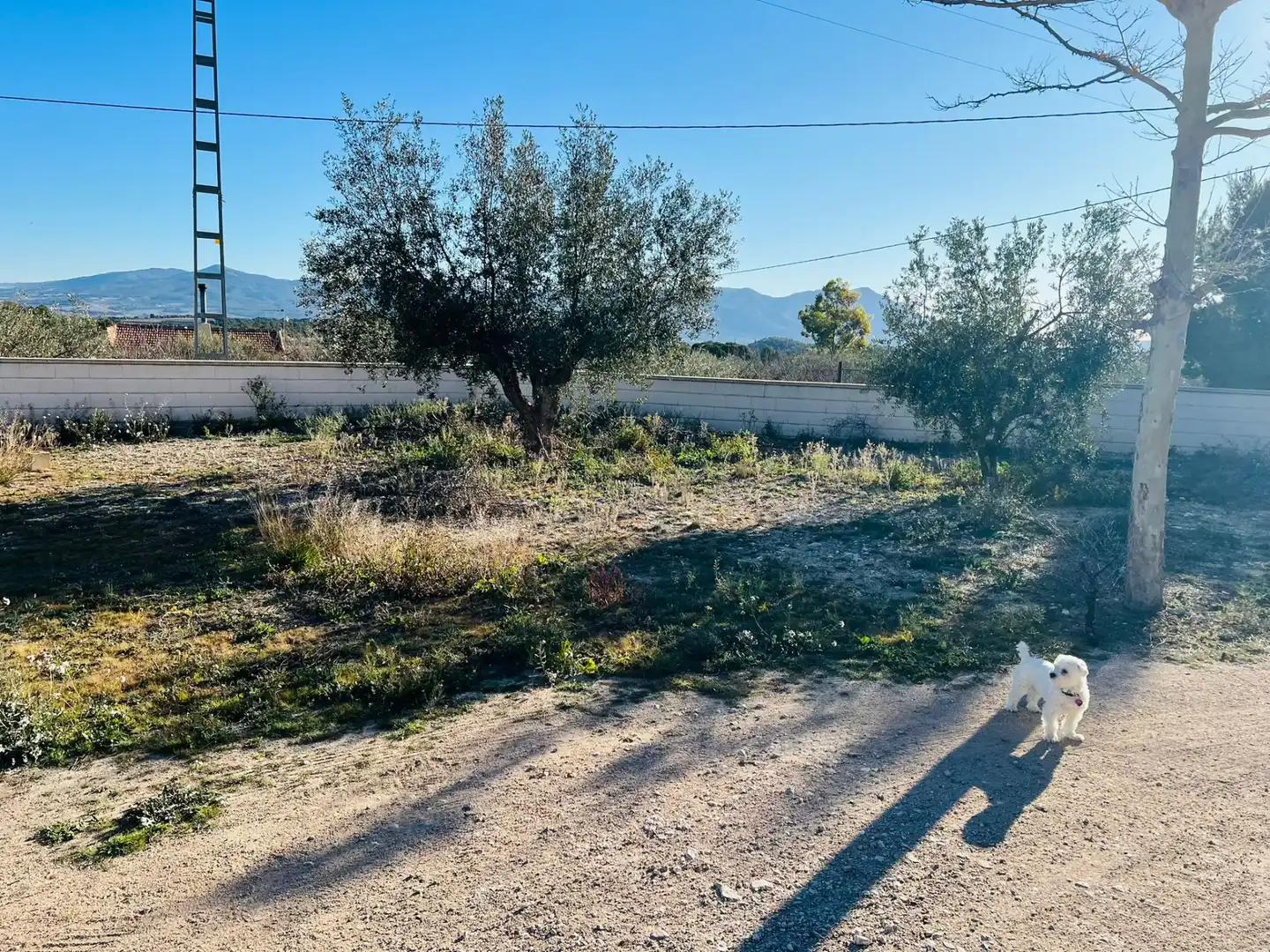 Villa con giardino in vendita a Carrer Cervantes 71, imagen 38