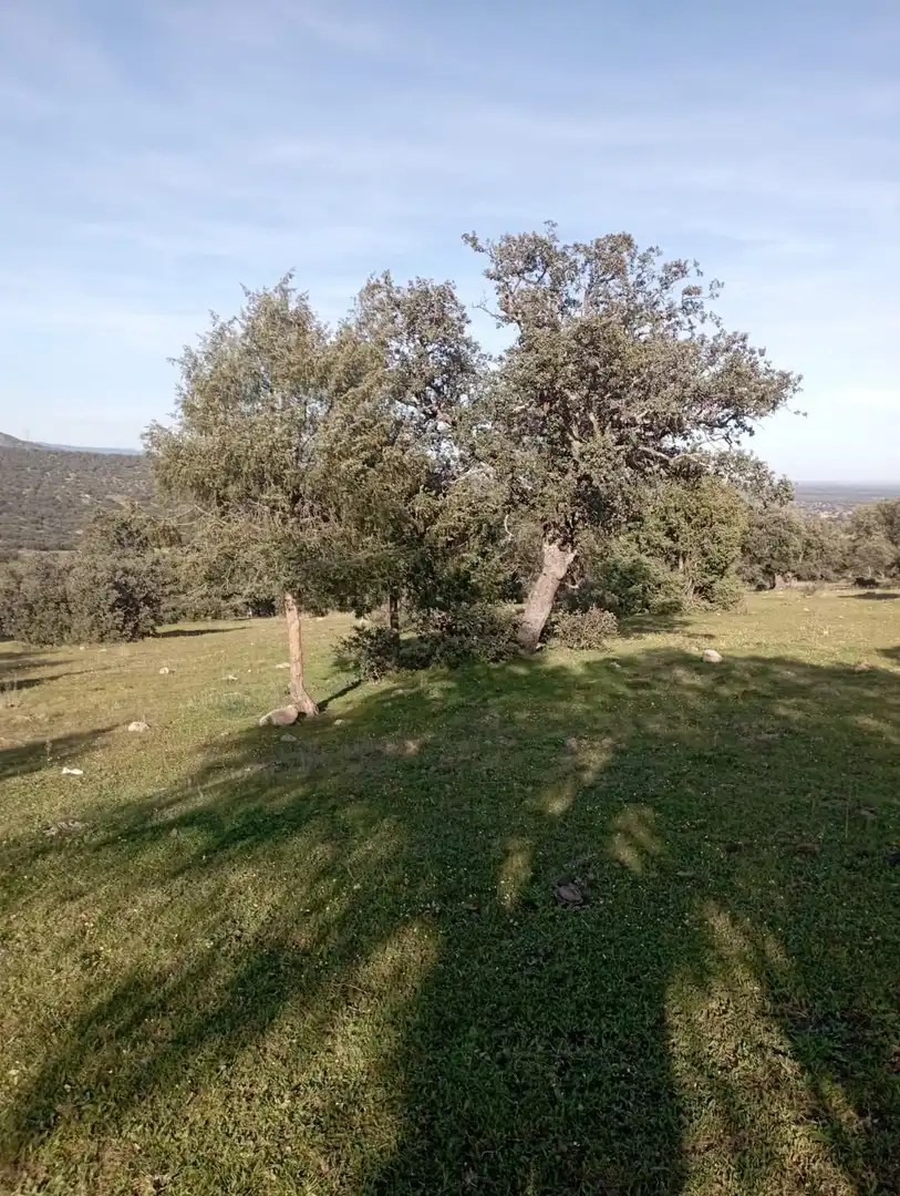 Terreni e lotti in vendita a San Román de los Montes, imagen 14