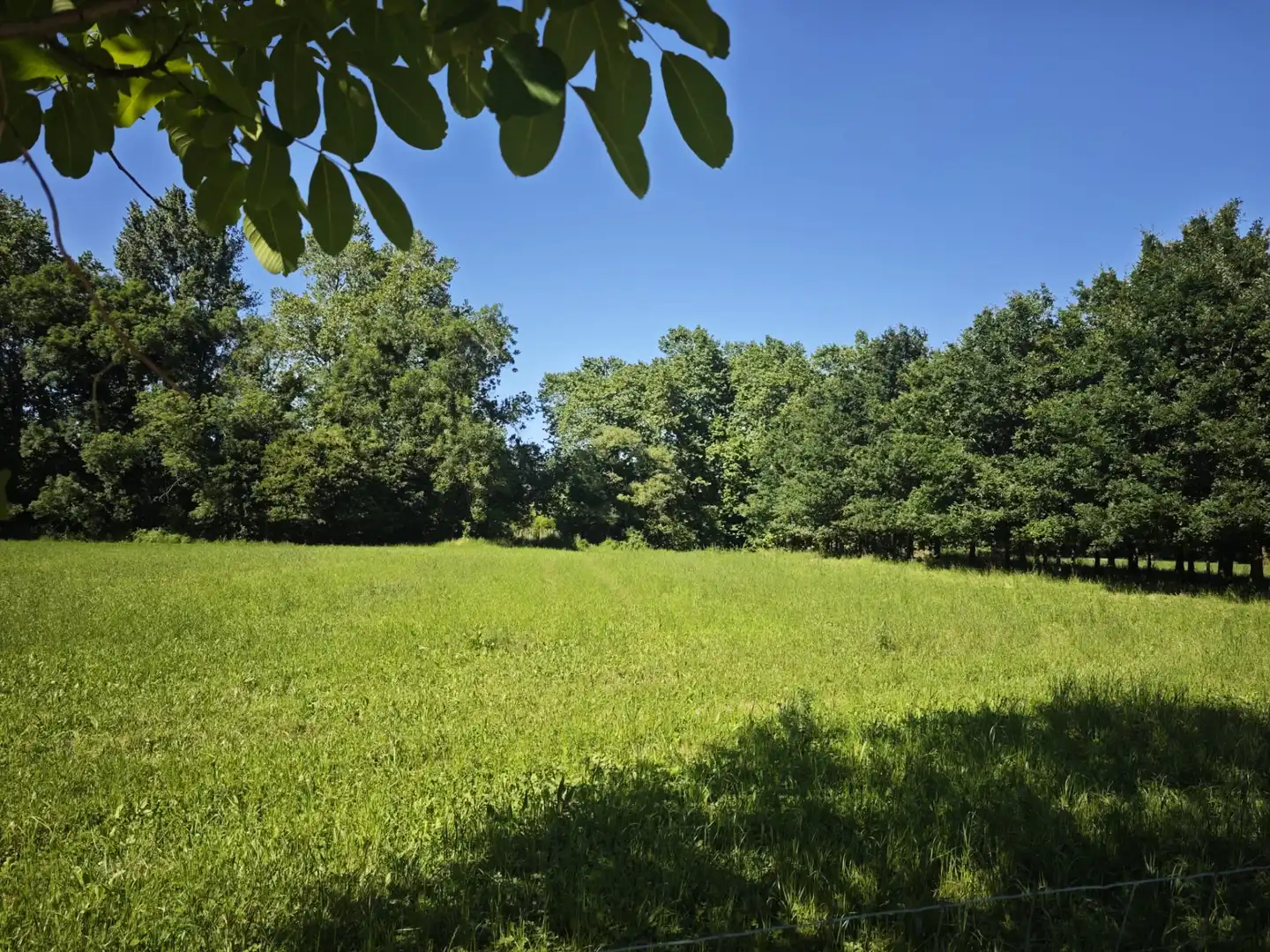 Terreno en venta en Piélagos