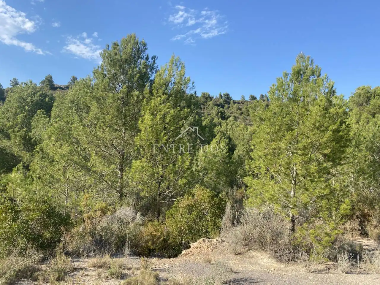 Rural land for sale in 18 parcela 79, imagen 3
