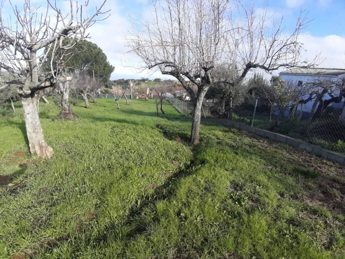 Terreni e lotti in vendita a Cañaveral, imagen 7