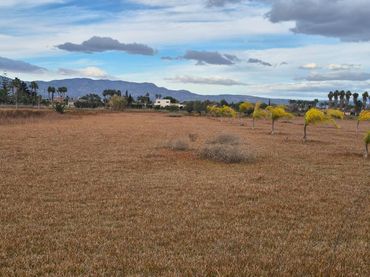 Terrenos y solares en venta en Cam. Arroba de Hornos