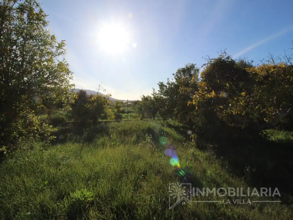 Finca rústica en venda en Alhaurín de la Torre amb Terrassa