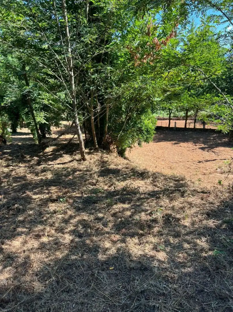 Maison à vendre à Lugar Barreras, imagen 5