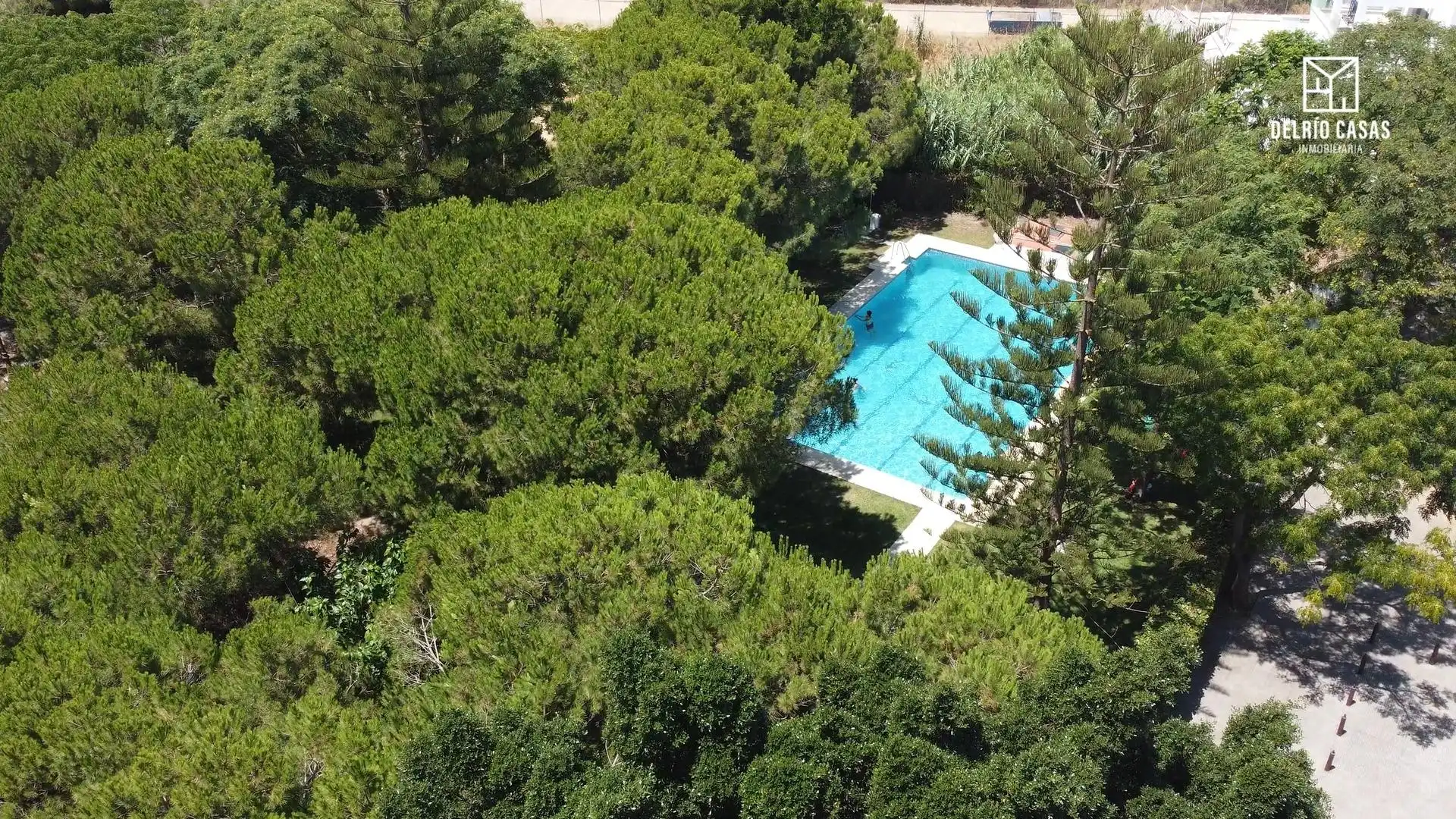Swimming pool of Detached homes for sale in El Rompido