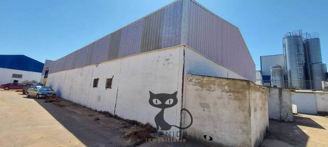 Local comercial en Venta en Real