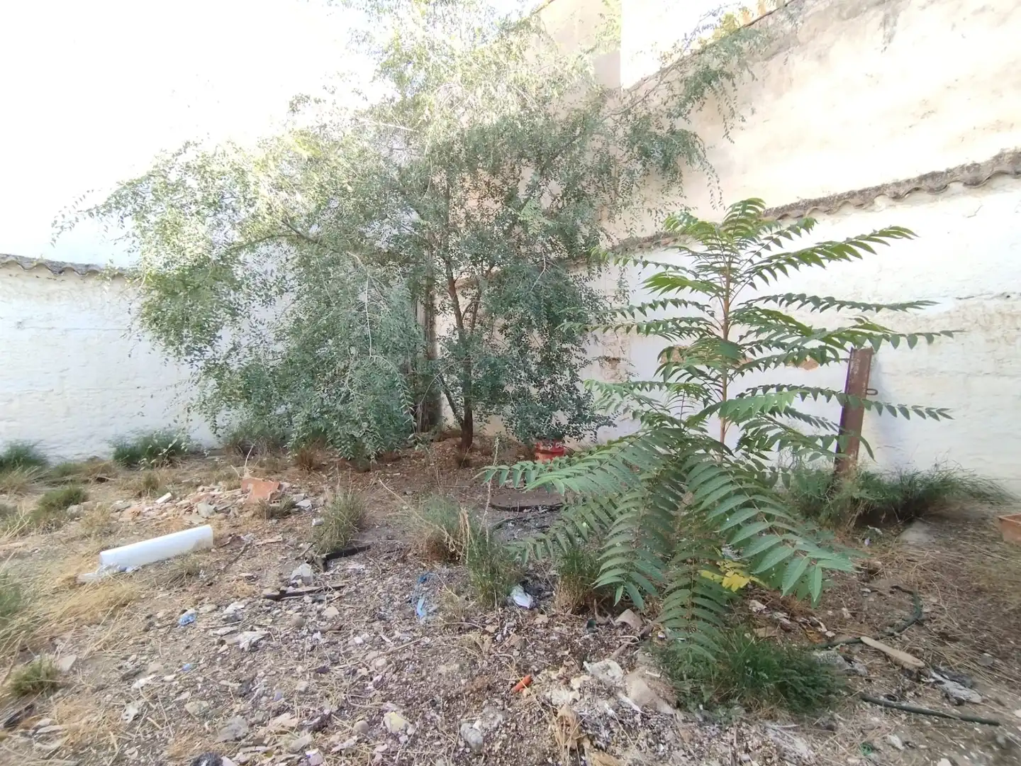 Habitatge amb jardí en venda a Calle Campomanes, imagen 38