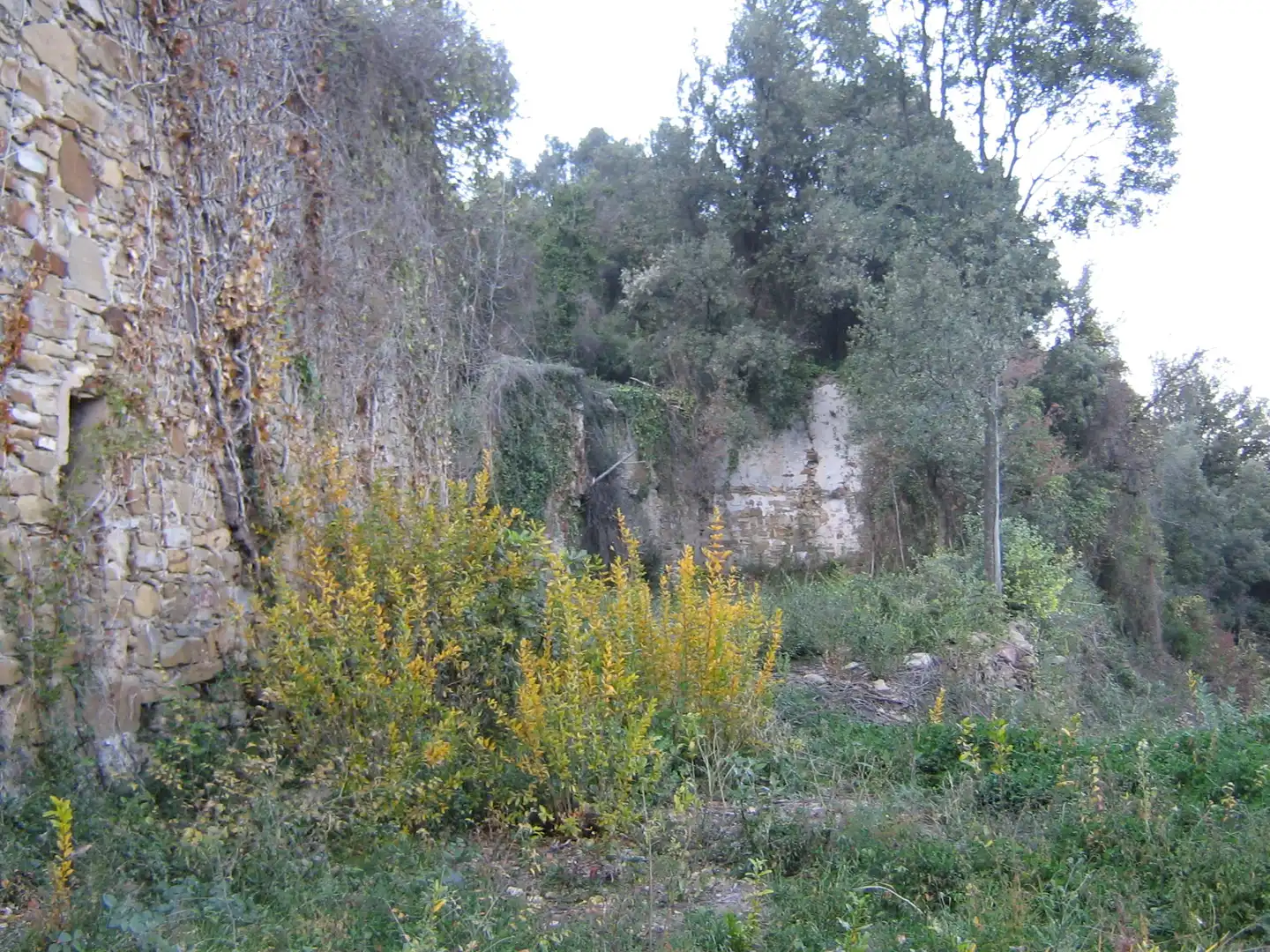 Rural land for sale in Montagut i Oix, imagen 8