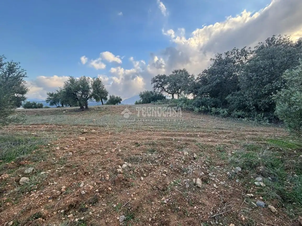 Terreni e lotti in vendita a Centro, imagen 23