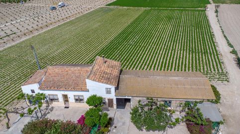 Foto 5 de Finca rústica en venda a Desamparados - Hurchillo - Torremendo, Orihuela