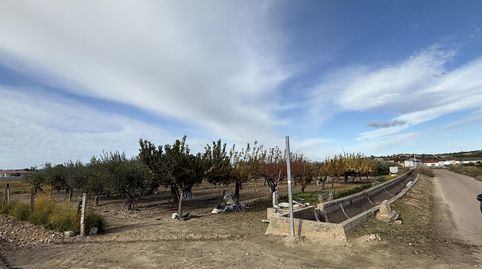 Santa AmaliaTerreno, immagine 2