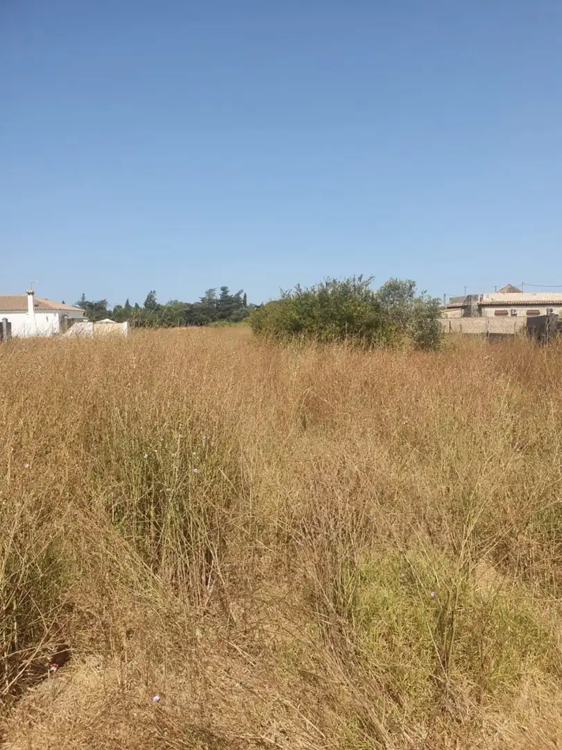 Residential land for sale in Las Lagunas - Campano, imagen 2