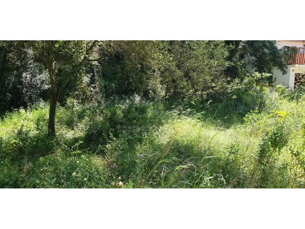 Terrain résidentiel à vendre à Platja de Pals, imagen 7