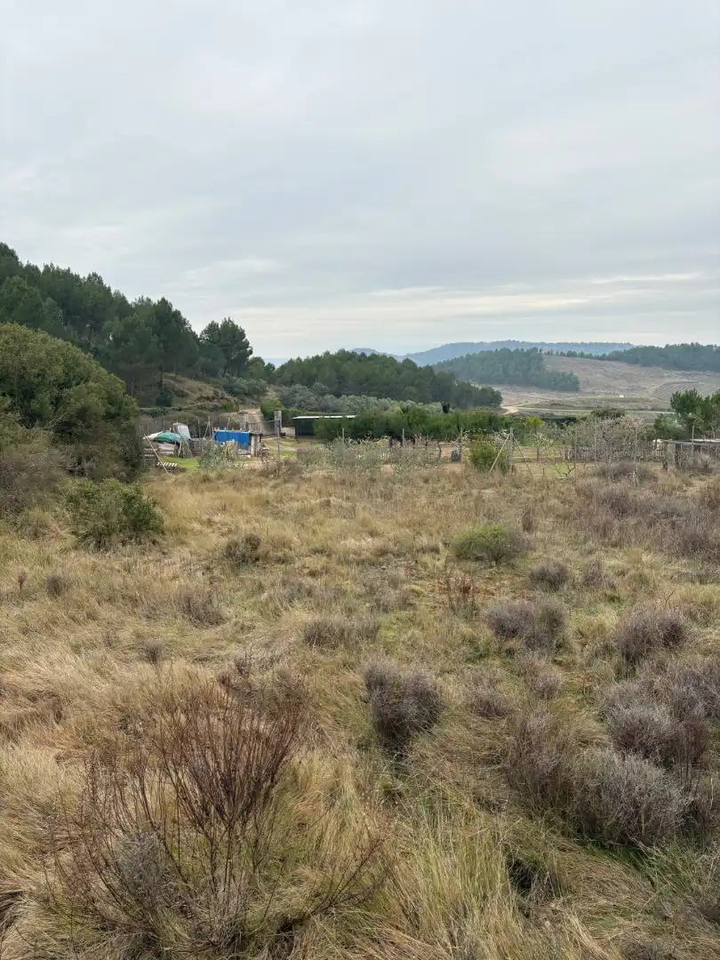 Terreno rústico en venta en Lardero, imagen 6