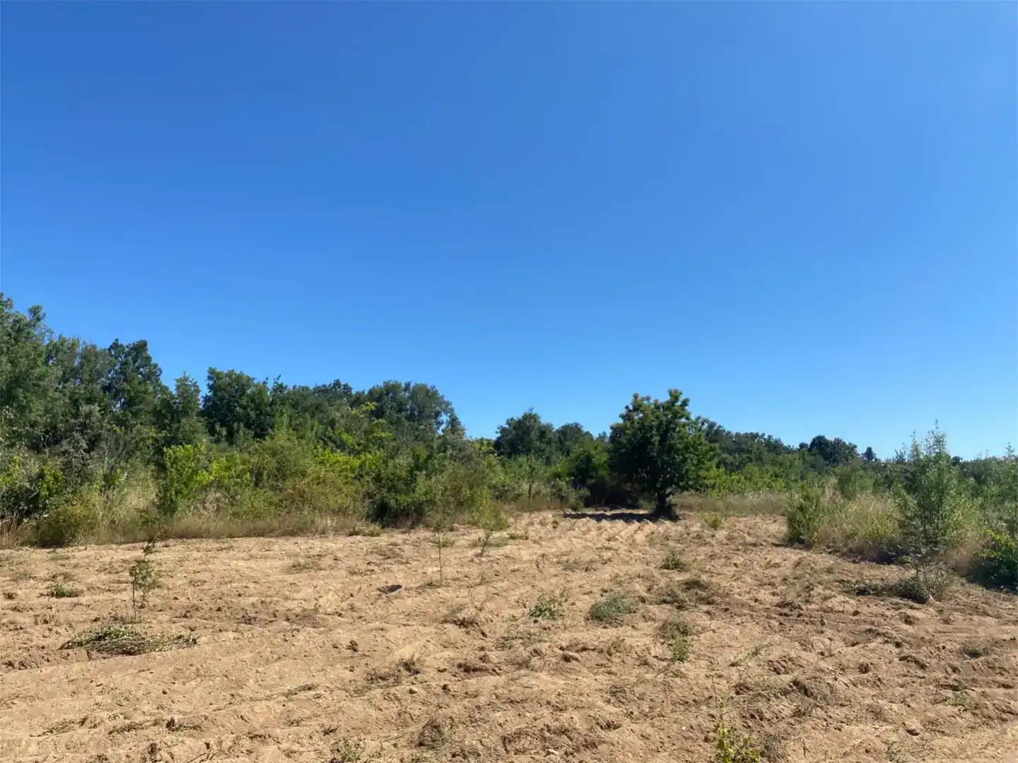 Finca rústica en venda en Colmenar de Montemayor, Salamanca