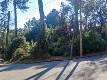 Wohnbaugrundstück zum Verkauf in Carrer REPOS