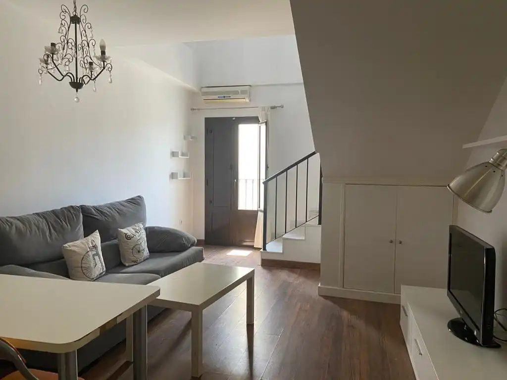 Apartments for rent in Casco Antiguo