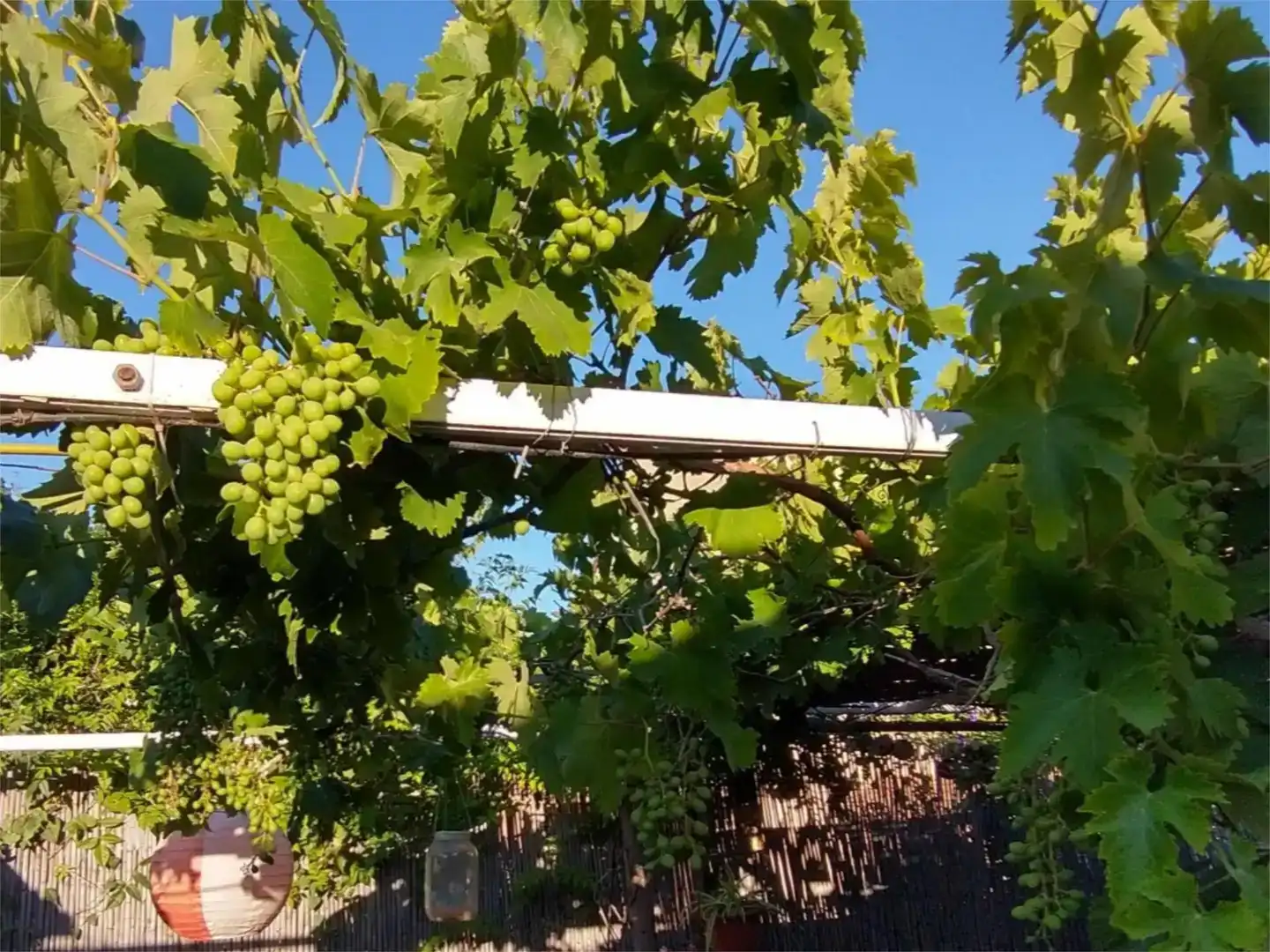 Jardí de Casa o xalet en venda en Marbella amb Aire condicionat, Piscina i Balcó