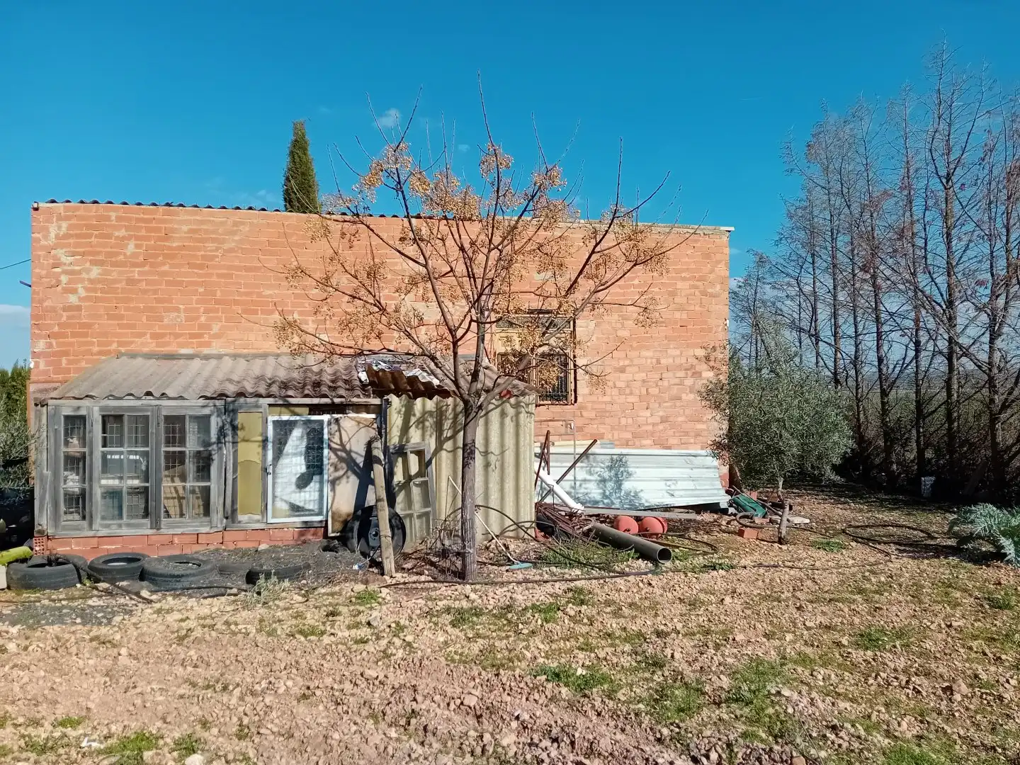 Vista exterior de Casa o chalet en venta en Bolaños de Calatrava con Terraza, Trastero y Amueblado