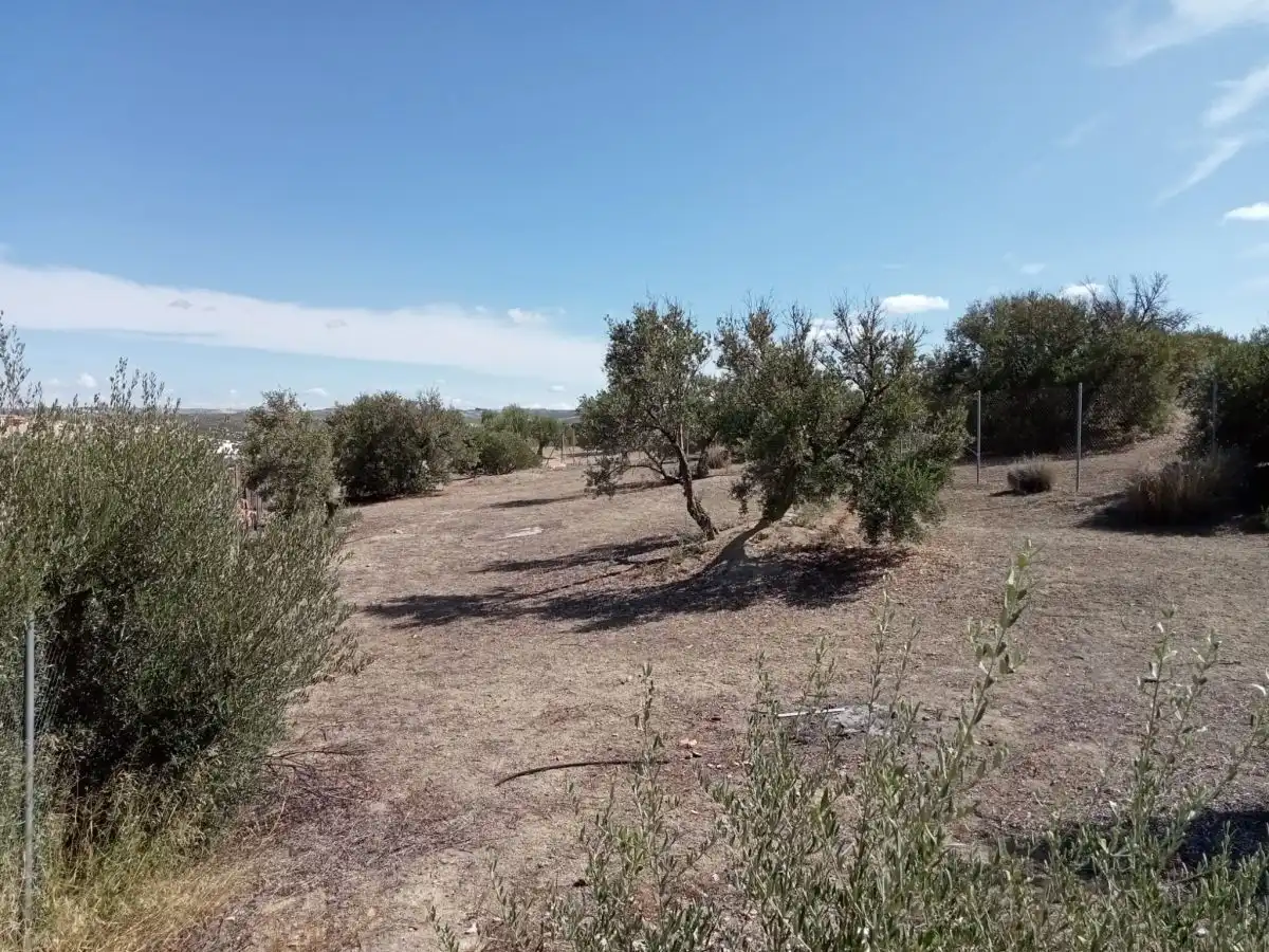 Terreni e lotti in vendita a La Guardia de Jaén, imagen 4