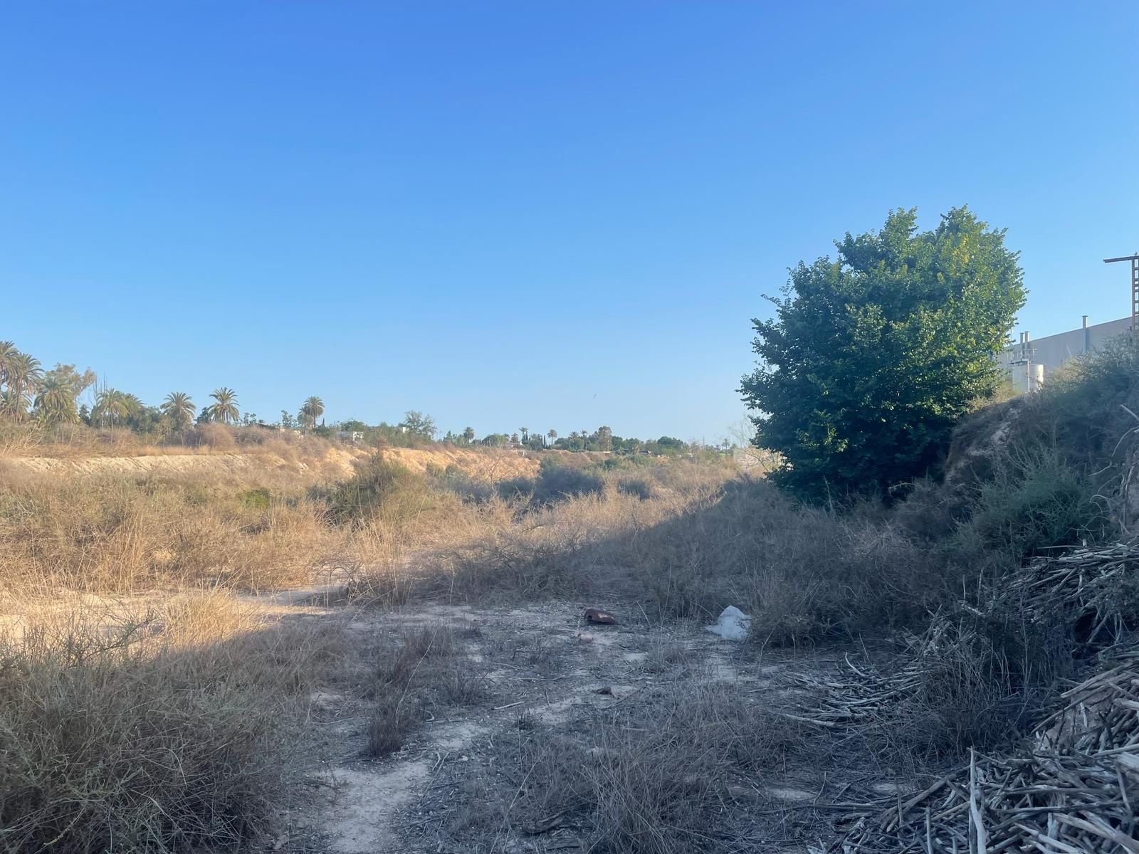 Terreny industrial en venda en Elche / Elx