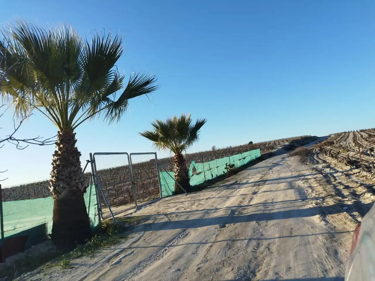 Rustikales Grundstück zum Verkauf in La Cañada, imagen 2
