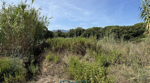 Foto 5 de Terreno en venta en Calle la Julia, 16, Tordera pueblo, Tordera