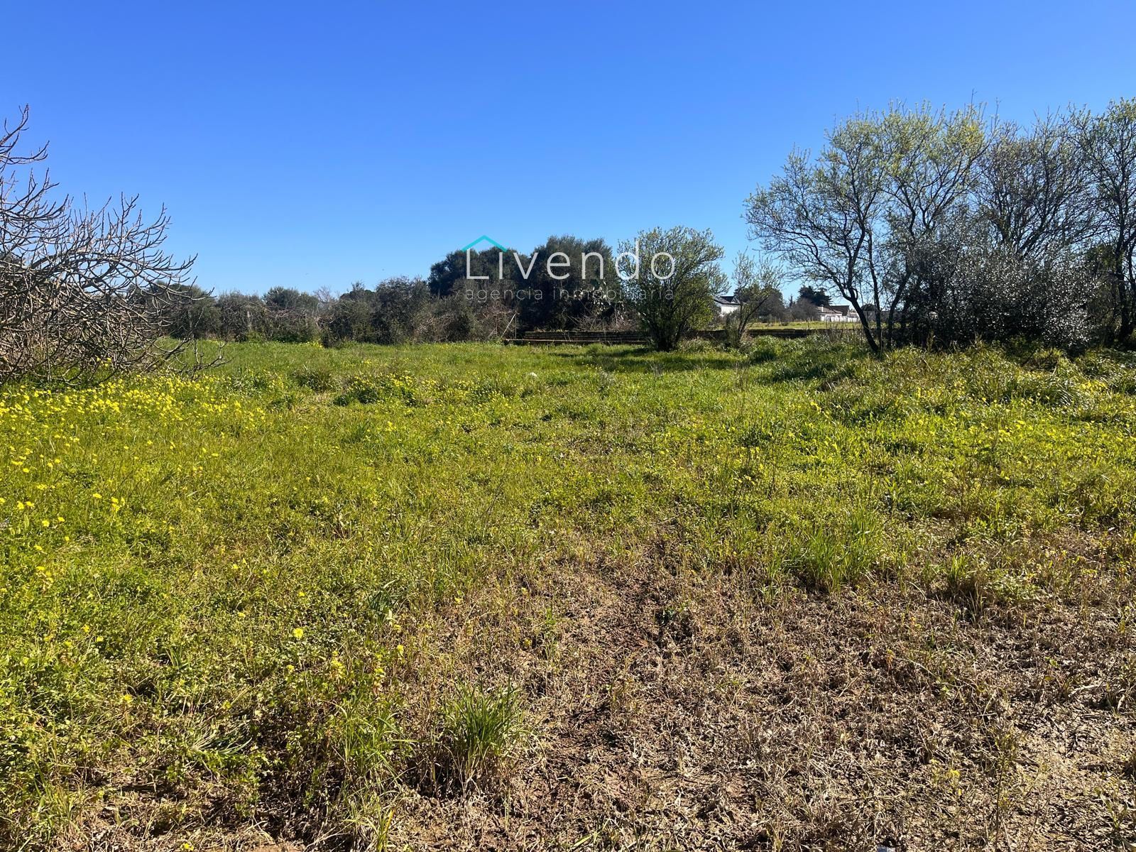 Residencial en venta en Chiclana de la Frontera