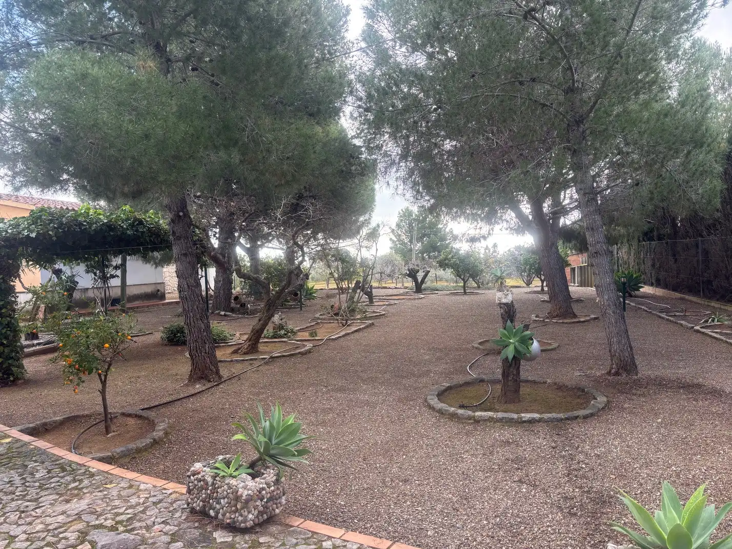 Garten von Grundstücke zum Verkauf in Reus