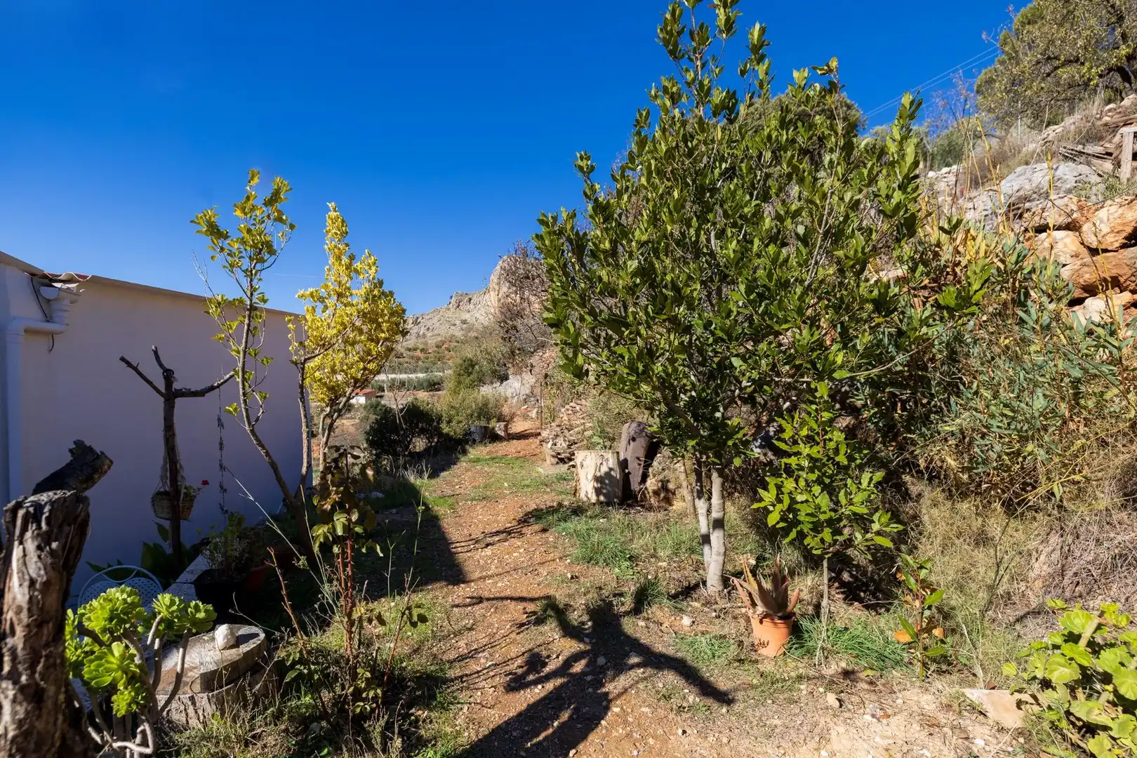 Finca rústica en venda a EXTRARRADIO, Cogollos de la Vega