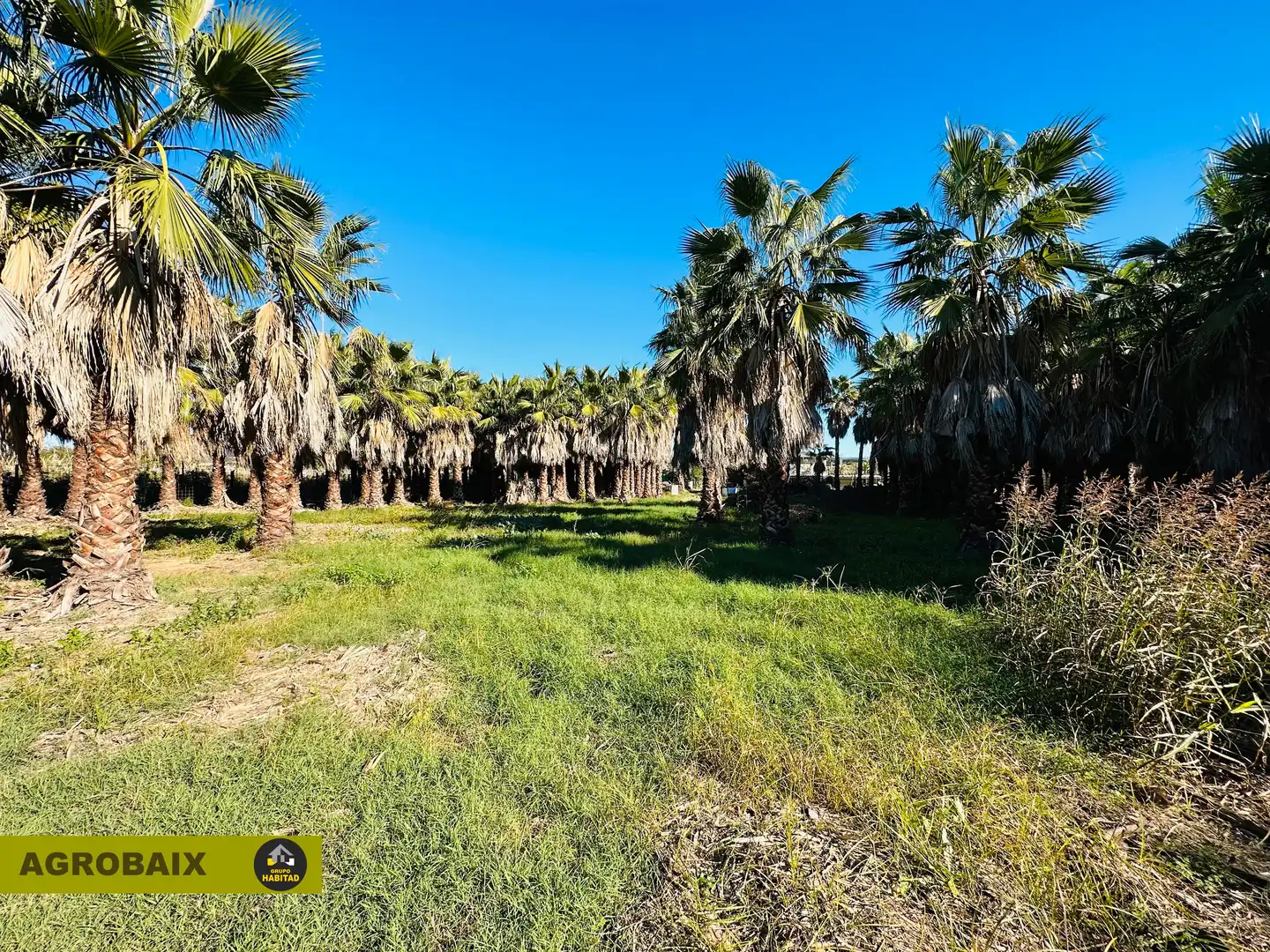 Terreno rustico in vendita a Eixample, imagen 36