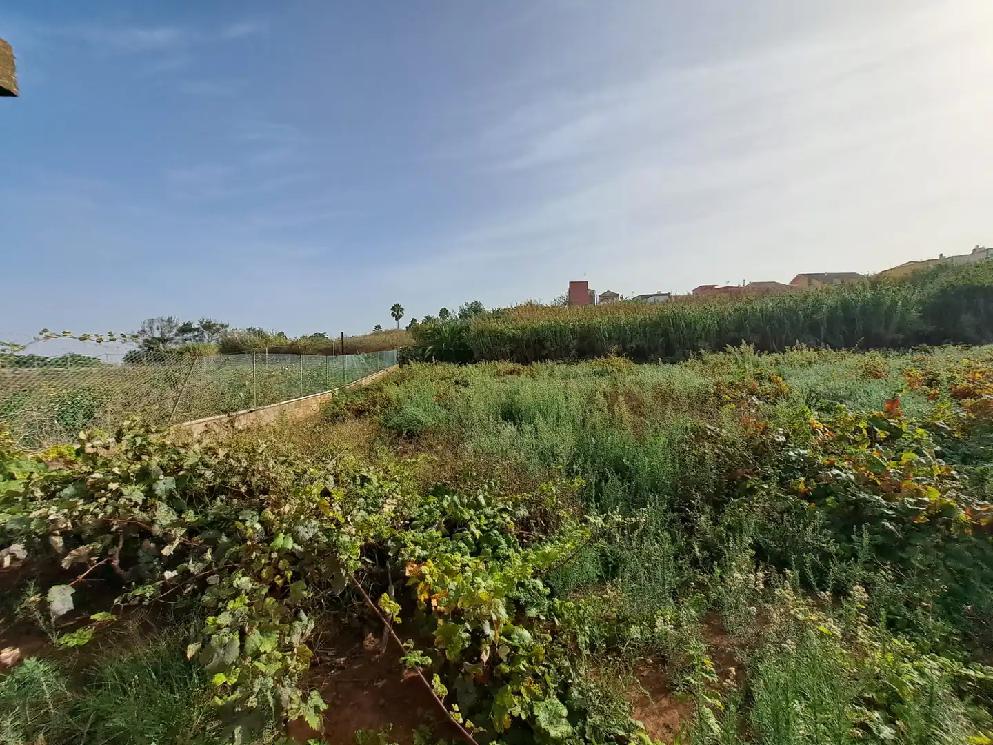 Rural land for sale in Tacoronte - Los Naranjeros, imagen 7