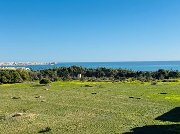 Penthouse with lift for sale in Playa del Acequión, Náufragos y Rocío del Mar