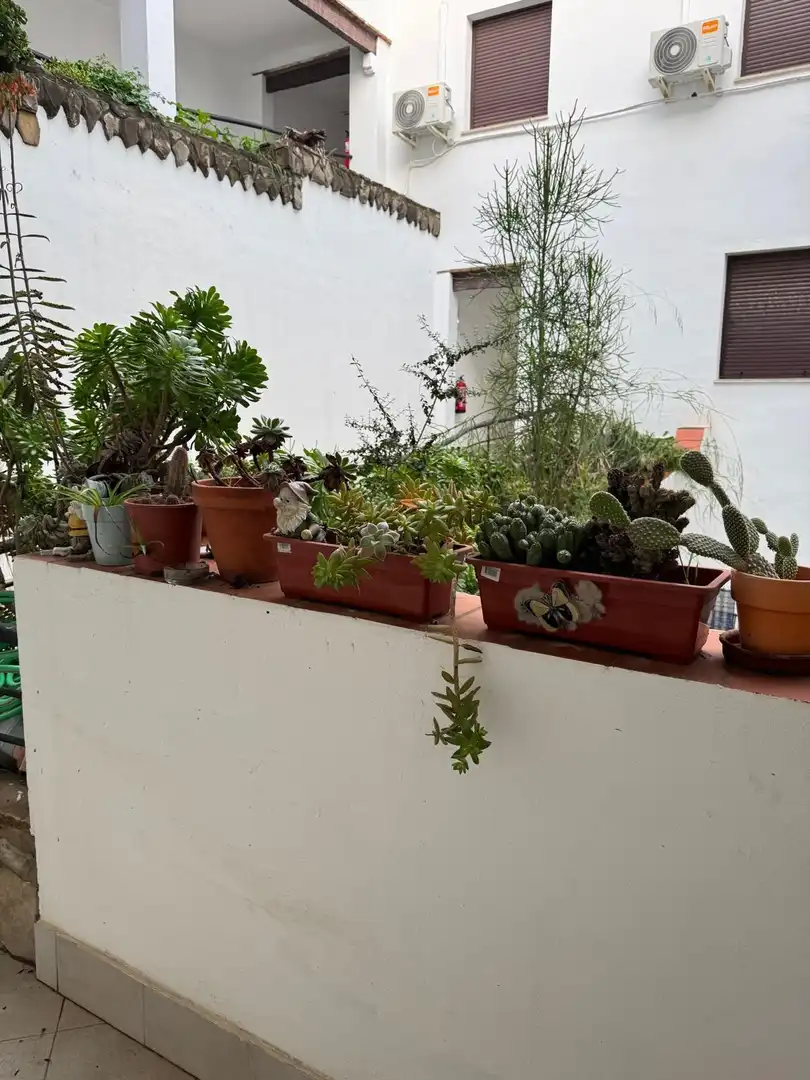 Pis en venda a Alcalá de los Gazules, imagen 3