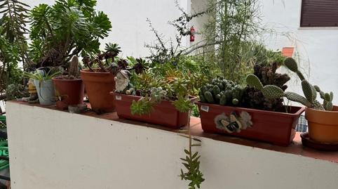 Foto 3 de Piso en venta en Alcalá de los Gazules, Cádiz