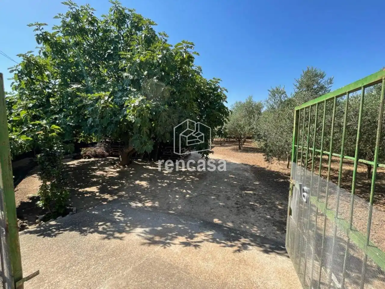 Casa o chalet en venta en Torres de Segre con Jardín privado, Terraza y Piscina