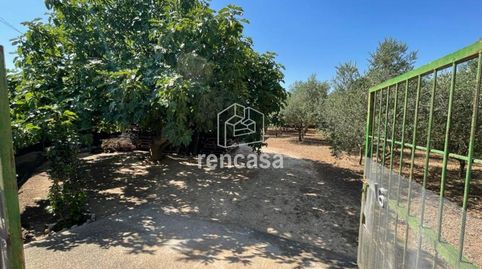 Photo 4 of Houses for sale in Avenida del Molí, Torres de Segre, Lleida