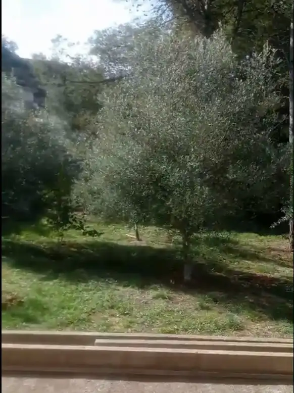 Maison rustique à vendre à Partida les Foyes, imagen 28