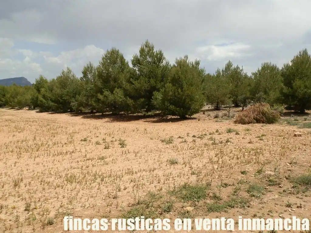 Terreni e lotti in vendita a Bonete, imagen 12