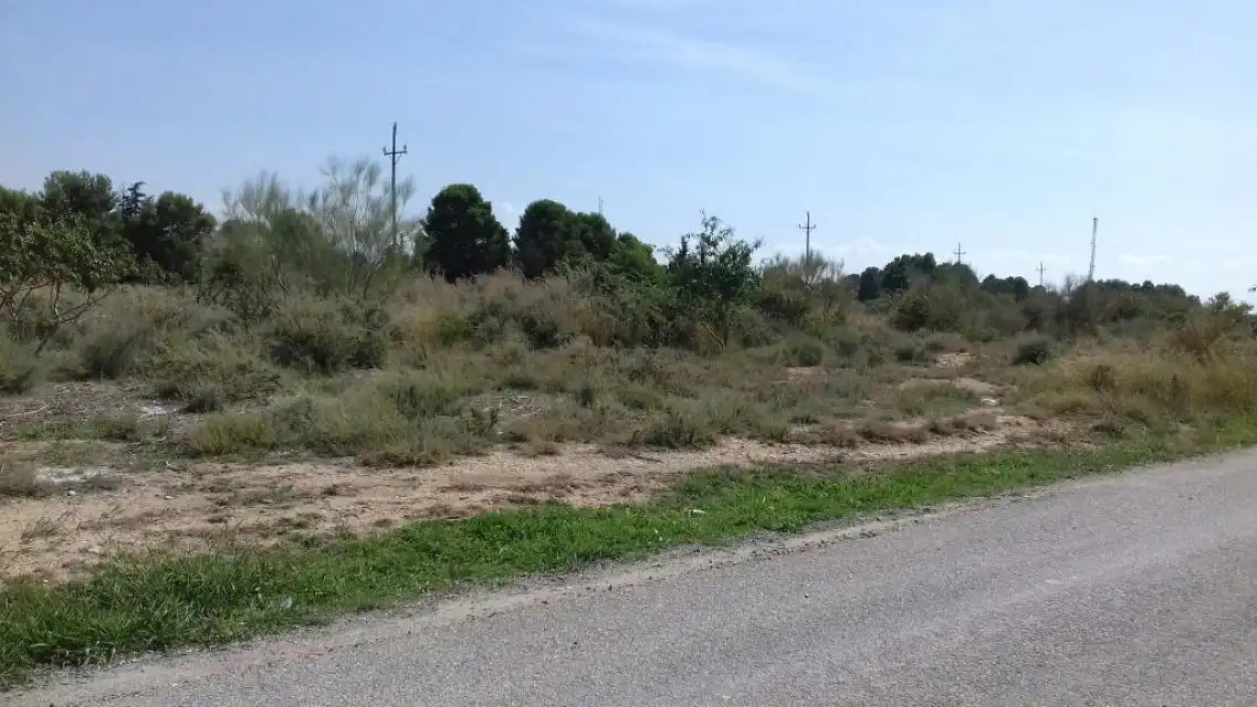 Terrenos y solares en venta en Pla de la Cerdera, imagen 10