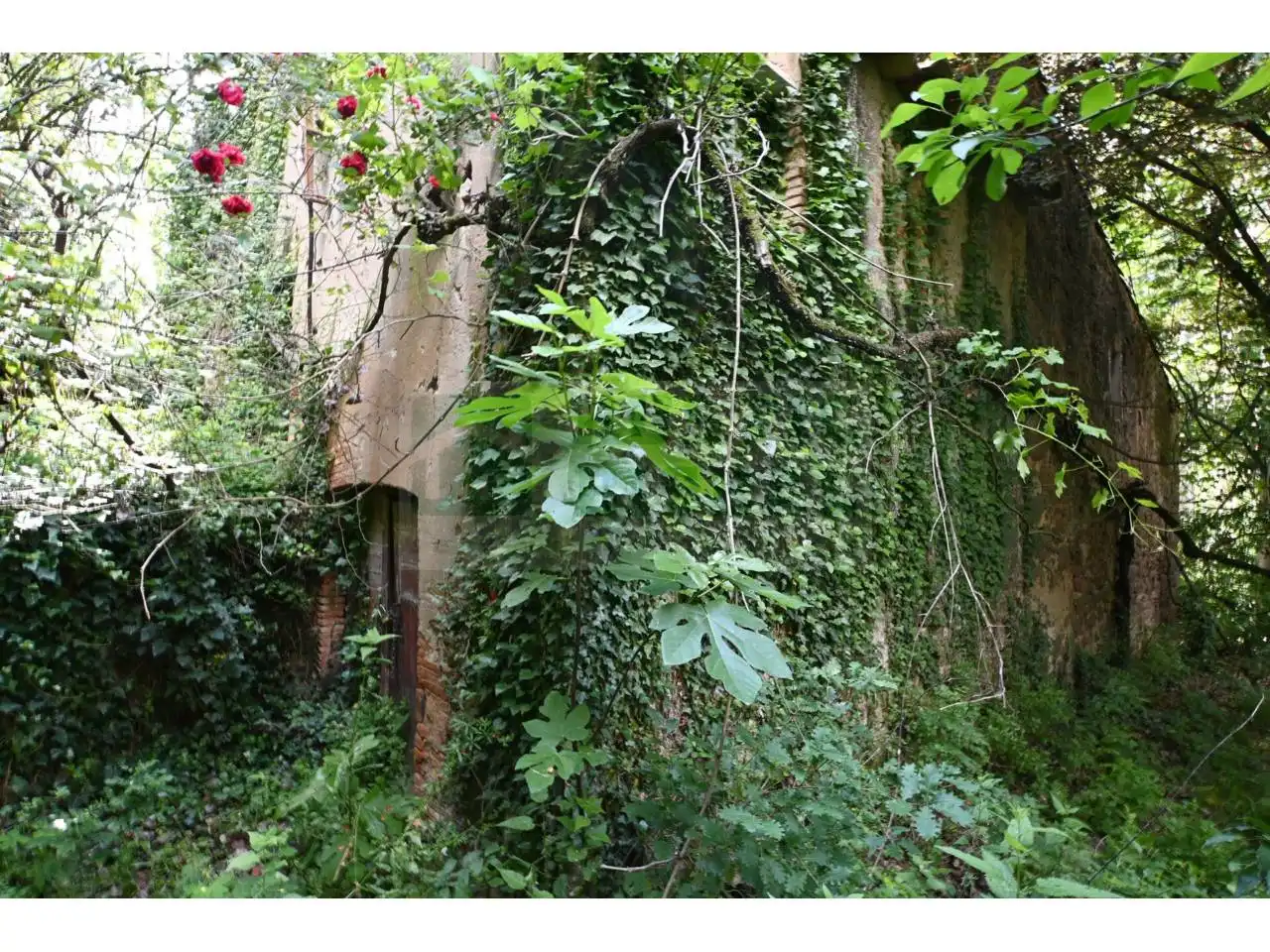 Jardín de Finca rústica en venta en La Pera