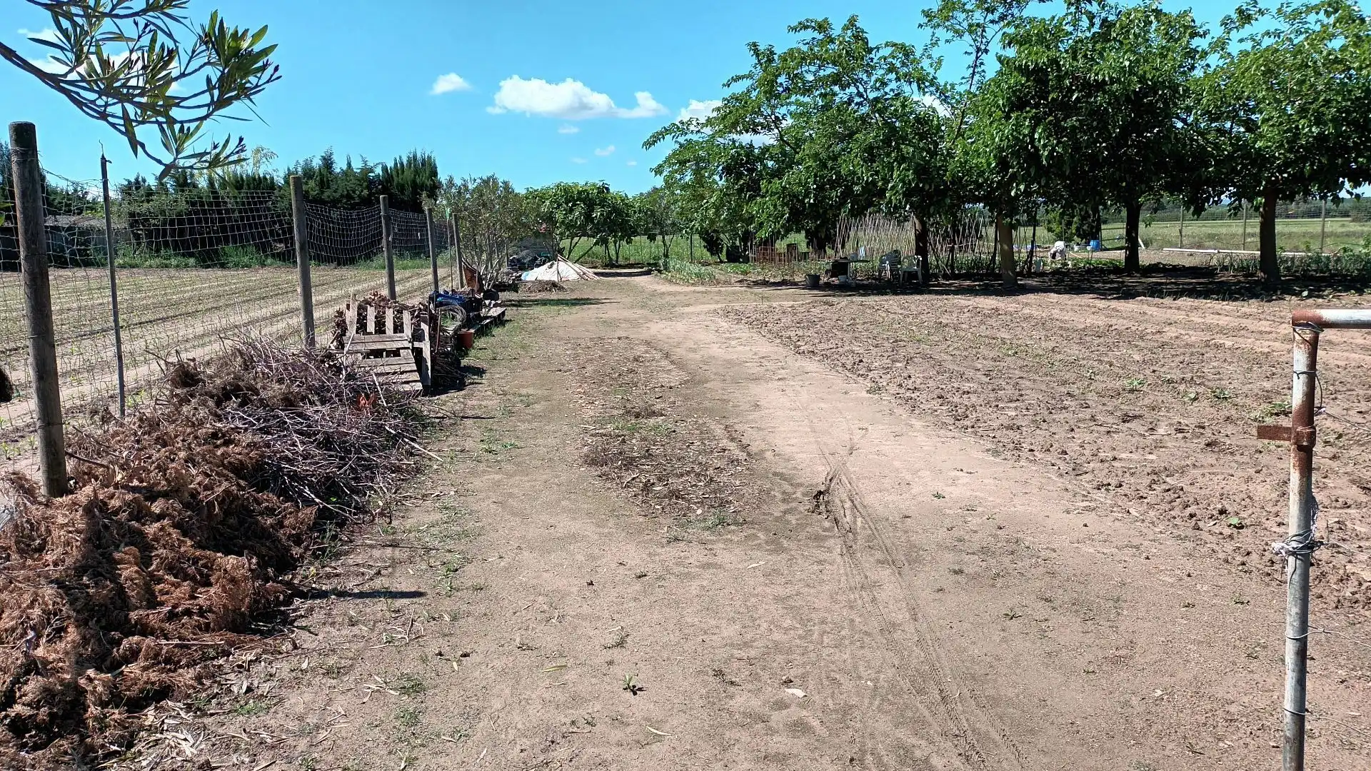 Terreny rústic en venda a Els Griells, imagen 9