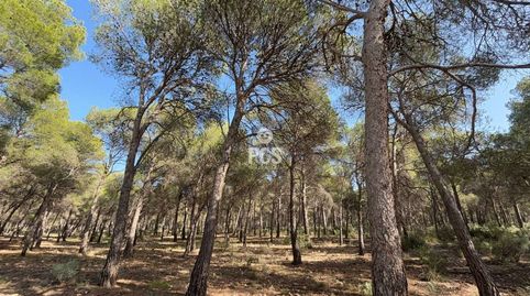 Terreno en venta en Totana, immagine 5