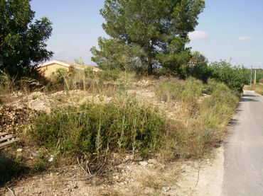 Terrain résidentiel à vendre à Riba-roja de Túria